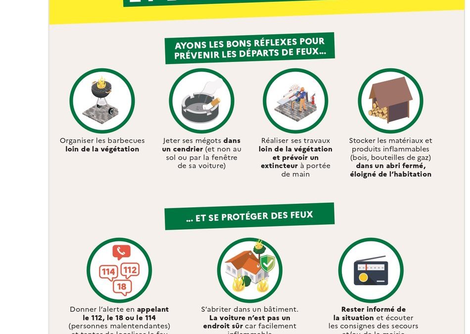 FEU DE FORET